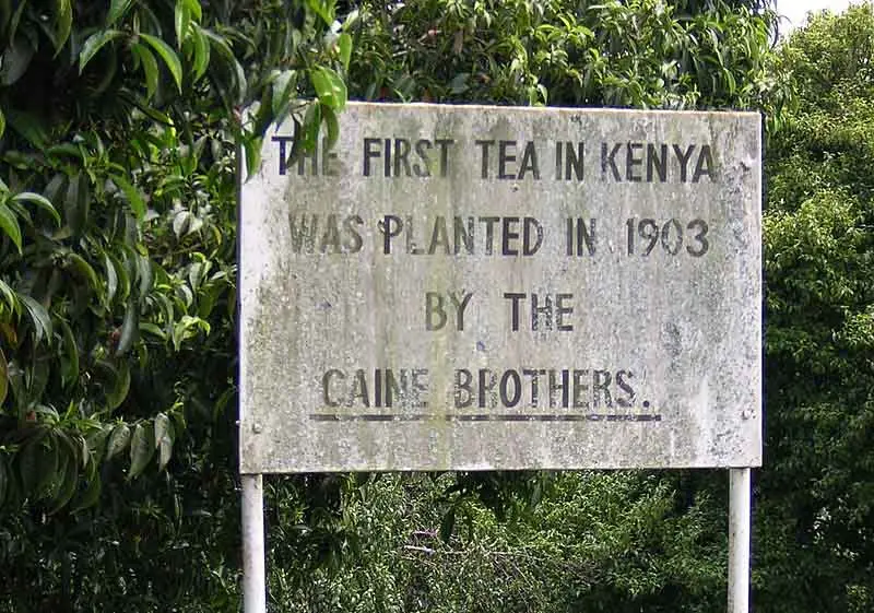 800px-Kenya_tea_Caine_Brothers.jpg